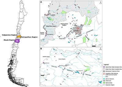 Humans and Hoofed Livestock Are the Main Sources of Fecal Contamination of Rivers Used for Crop Irrigation: A Microbial Source Tracking Approach